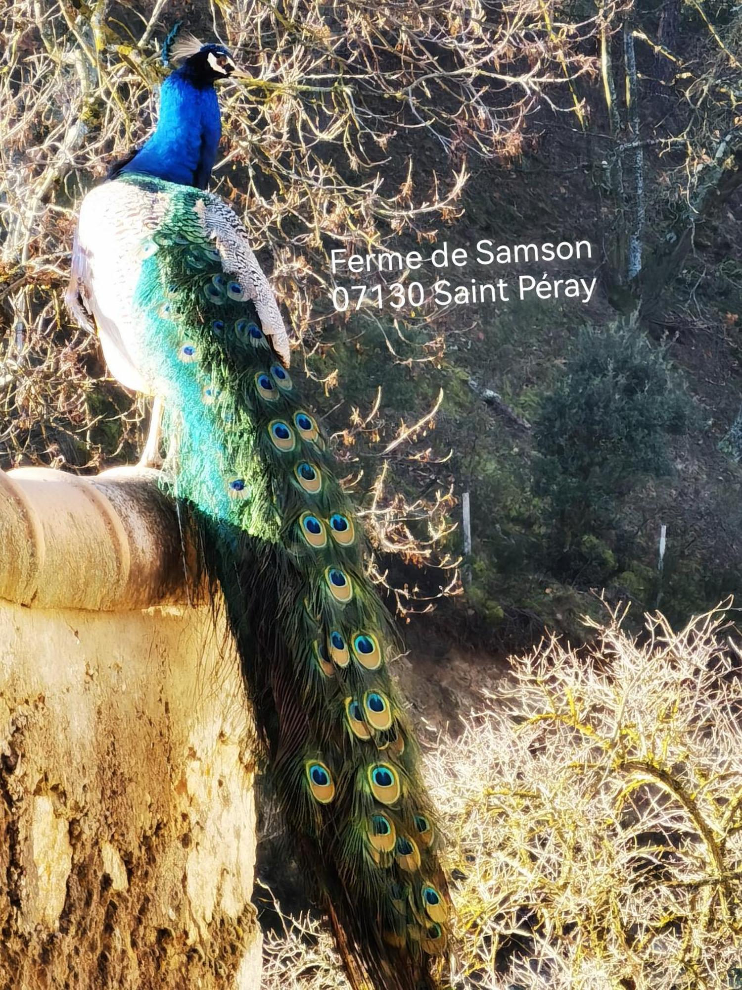 Willa Ferme De Samson Saint-Péray Zewnętrze zdjęcie